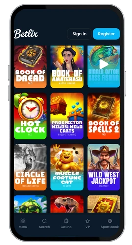 Betlix casino application